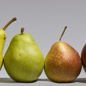 Poirier Sommerbirn – Poire d’été