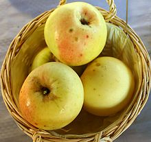 Pommier Transparente de Croncels