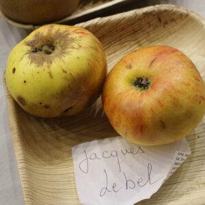 Pommier Jacques Lebel