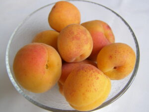 Abricotier Valleggia