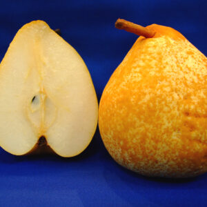 Poirier Général Leclerc