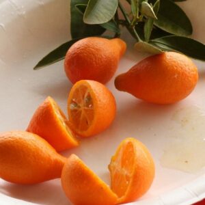 Orangequat