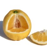 Citrus Lemonade