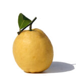 Citrus Lemonade