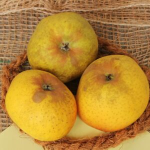 Pommier Blanche du Canada