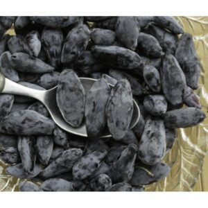 Camerisier Sinoglaska