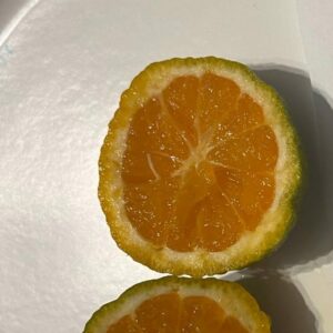 Agrume Citsuma de Prague