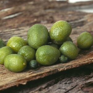 Eremolemon Coachella