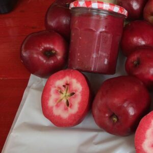 Pommier Geneva – chair rouge