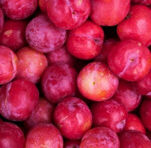 Prune cerise Gipsy (chum)