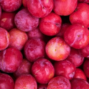 Prune cerise Gipsy (chum)