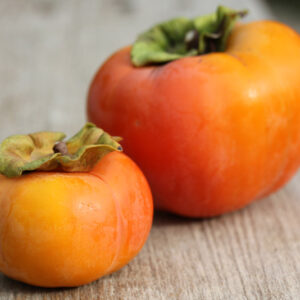 Kaki Plaqueminier Geant Fuyu (kaki pomme, non astringent) / D.lotus