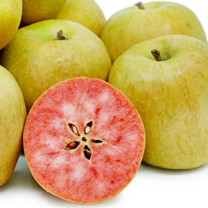 Pommier Hidden Rose – chair rose