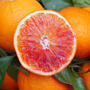 Orange sanguine des montagnes corses