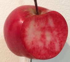 Pommier Prima Sentsentsum