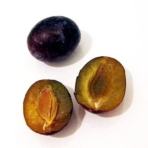 Prunier Ramassin di Pagno