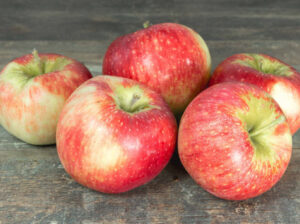Pommier Reine des Reinettes