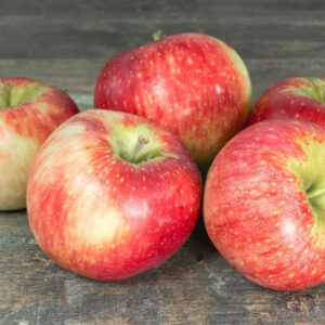 Pommier Reine des Reinettes