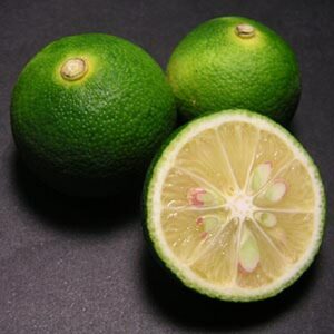 Sudachi Seneca Orange