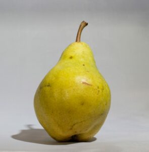 Poirier Williams Jaune