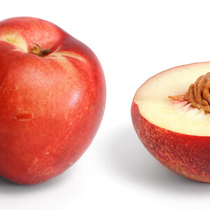 Nectarine blanche